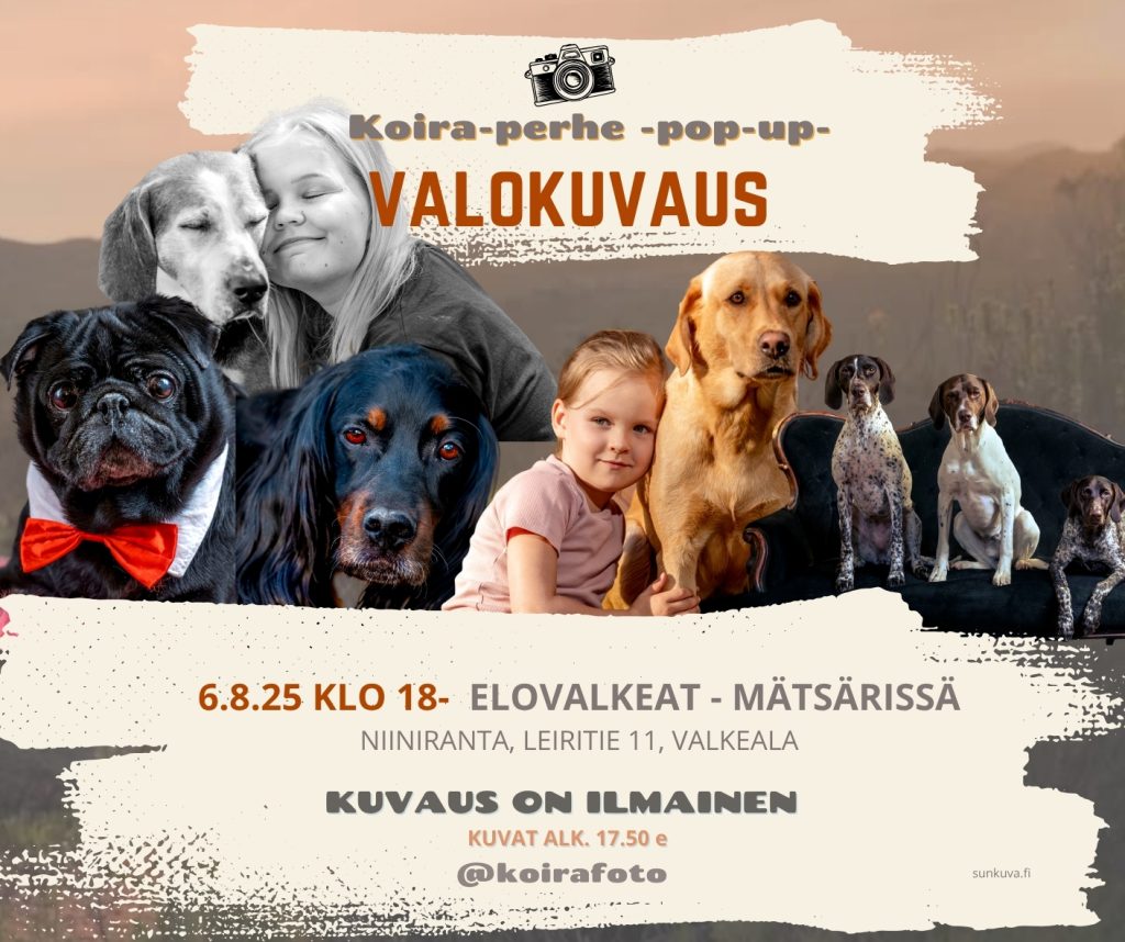 koira ja ihminen